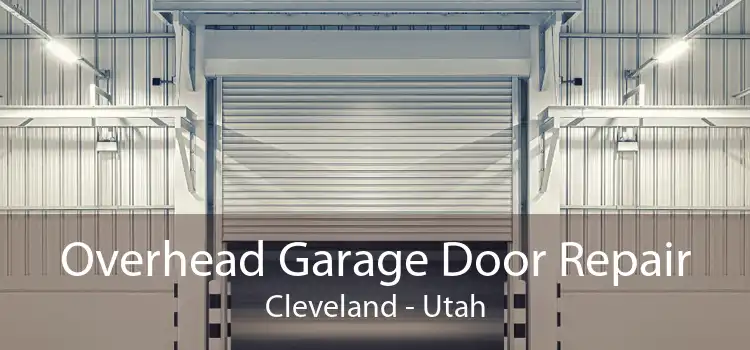 Overhead Garage Door Repair Cleveland - Utah