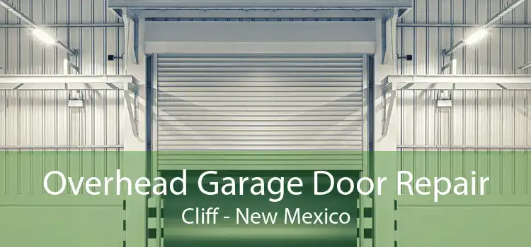 Overhead Garage Door Repair Cliff - New Mexico
