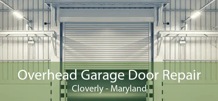 Overhead Garage Door Repair Cloverly - Maryland