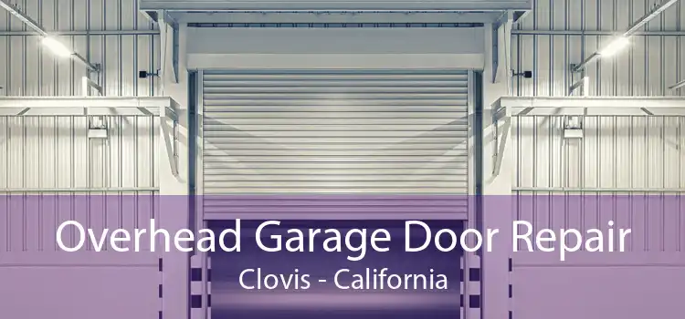 Overhead Garage Door Repair Clovis - California