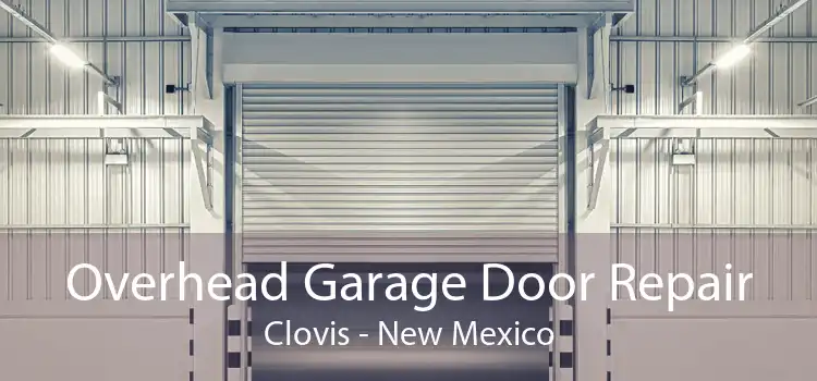 Overhead Garage Door Repair Clovis - New Mexico
