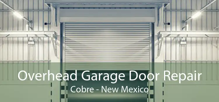 Overhead Garage Door Repair Cobre - New Mexico