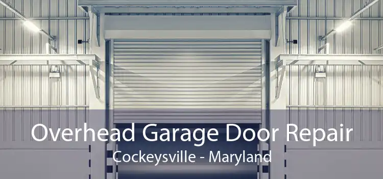 Overhead Garage Door Repair Cockeysville - Maryland