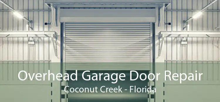 Overhead Garage Door Repair Coconut Creek - Florida