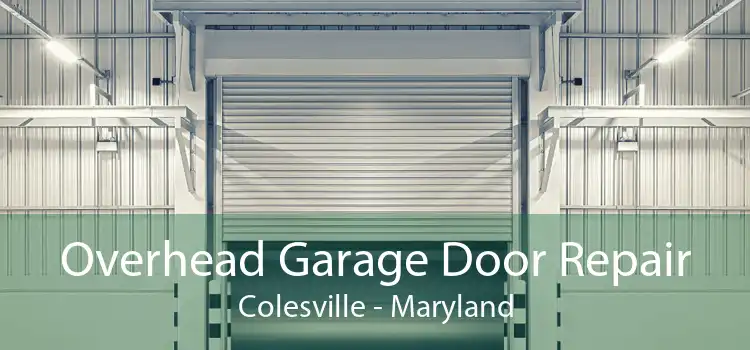 Overhead Garage Door Repair Colesville - Maryland