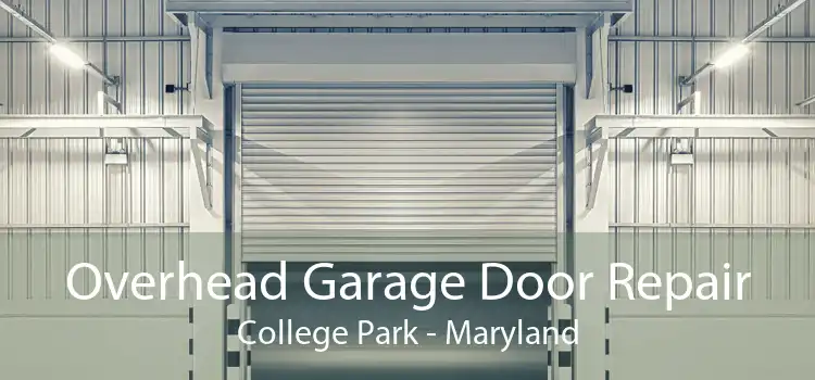 Overhead Garage Door Repair College Park - Maryland