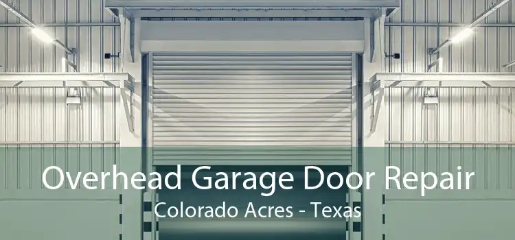 Overhead Garage Door Repair Colorado Acres - Texas