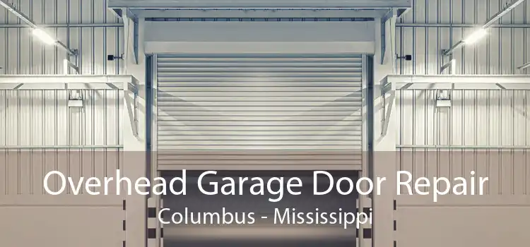 Overhead Garage Door Repair Columbus - Mississippi