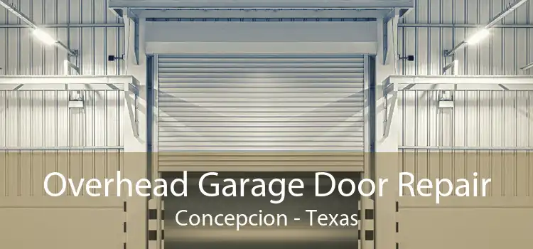 Overhead Garage Door Repair Concepcion - Texas