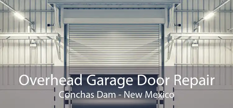 Overhead Garage Door Repair Conchas Dam - New Mexico