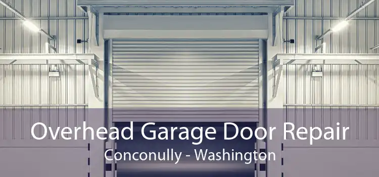 Overhead Garage Door Repair Conconully - Washington