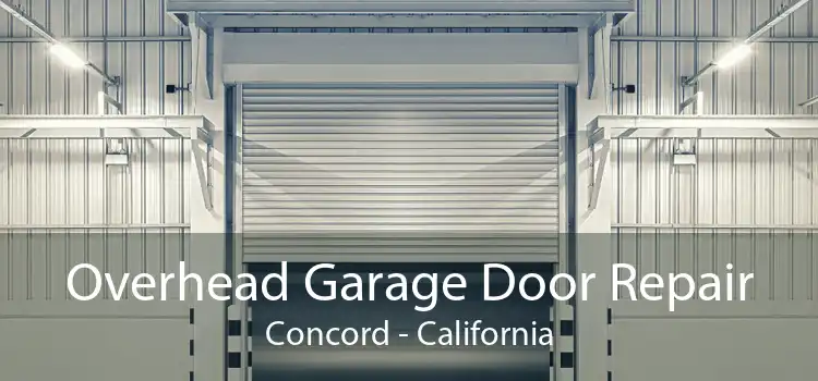 Overhead Garage Door Repair Concord - California