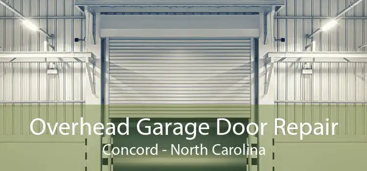 Overhead Garage Door Repair Concord - North Carolina