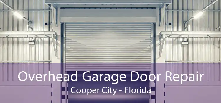 Overhead Garage Door Repair Cooper City - Florida