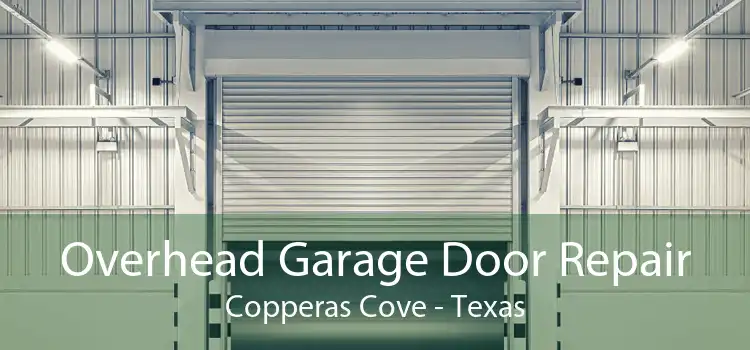 Overhead Garage Door Repair Copperas Cove - Texas