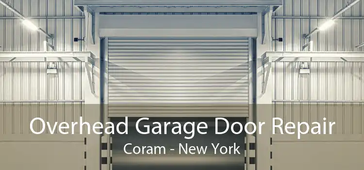 Overhead Garage Door Repair Coram - New York