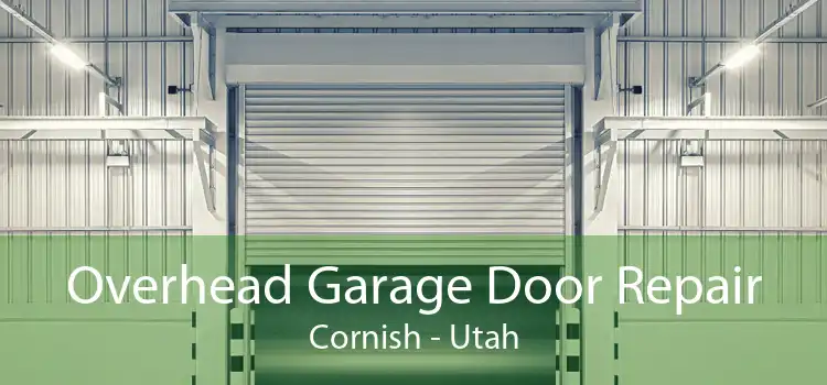 Overhead Garage Door Repair Cornish - Utah