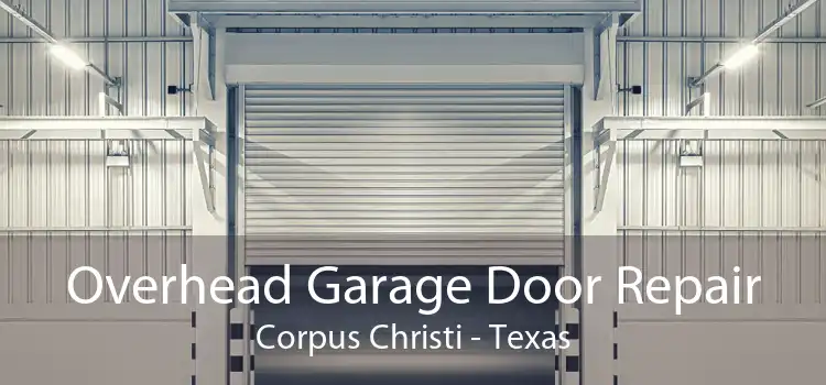 Overhead Garage Door Repair Corpus Christi - Texas