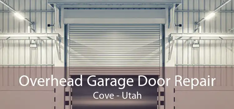 Overhead Garage Door Repair Cove - Utah
