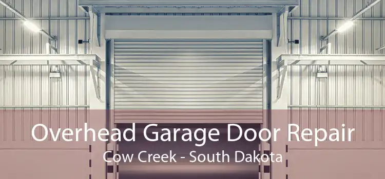 Overhead Garage Door Repair Cow Creek - South Dakota