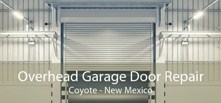 Overhead Garage Door Repair Coyote - New Mexico