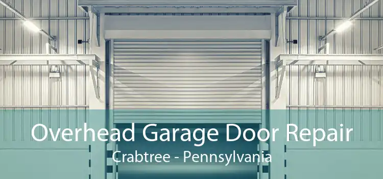 Overhead Garage Door Repair Crabtree - Pennsylvania