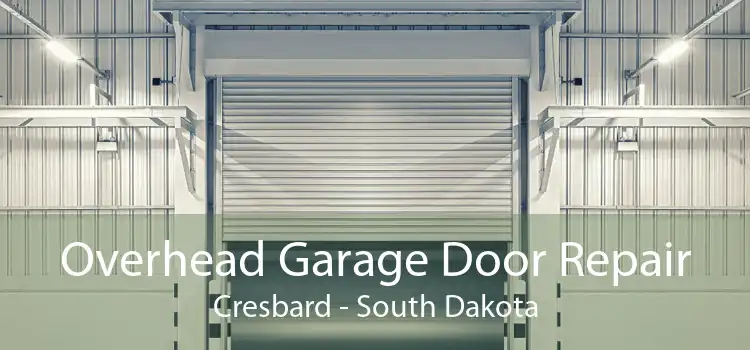 Overhead Garage Door Repair Cresbard - South Dakota