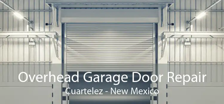 Overhead Garage Door Repair Cuartelez - New Mexico