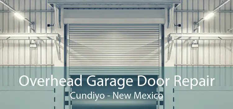 Overhead Garage Door Repair Cundiyo - New Mexico