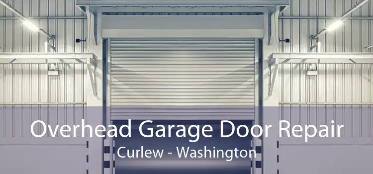 Overhead Garage Door Repair Curlew - Washington