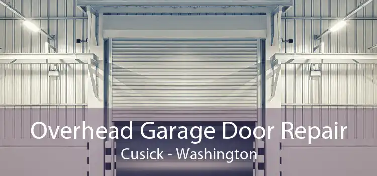 Overhead Garage Door Repair Cusick - Washington