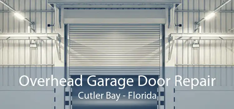 Overhead Garage Door Repair Cutler Bay - Florida