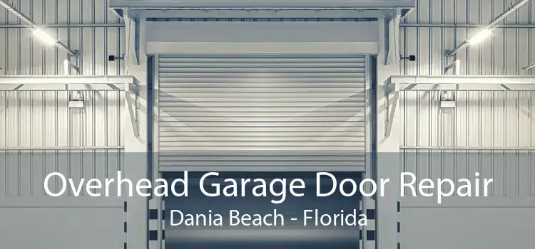 Overhead Garage Door Repair Dania Beach - Florida