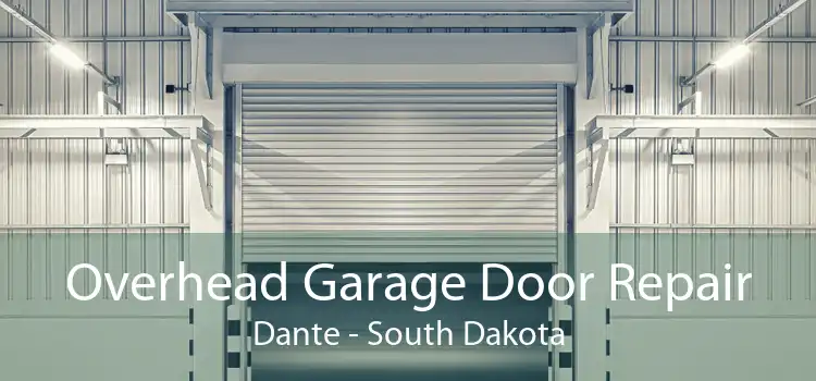 Overhead Garage Door Repair Dante - South Dakota