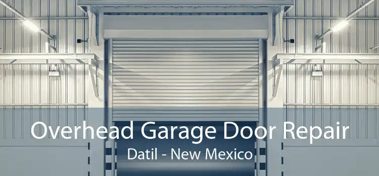 Overhead Garage Door Repair Datil - New Mexico