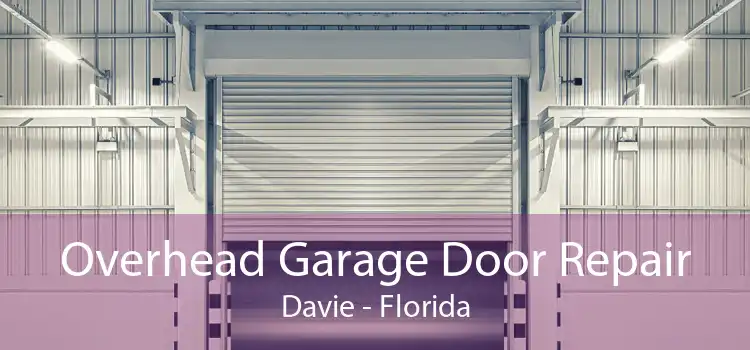 Overhead Garage Door Repair Davie - Florida