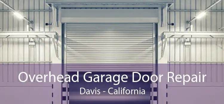 Overhead Garage Door Repair Davis - California