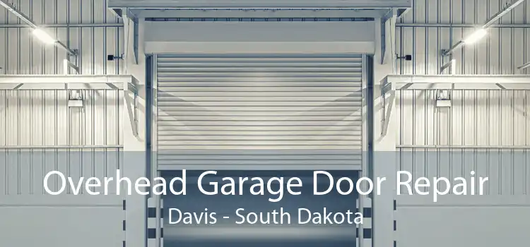 Overhead Garage Door Repair Davis - South Dakota