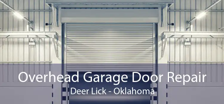 Overhead Garage Door Repair Deer Lick - Oklahoma