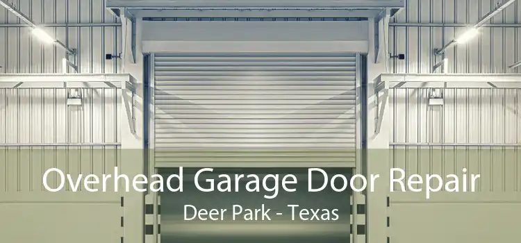 Overhead Garage Door Repair Deer Park - Texas