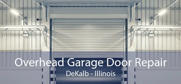 Overhead Garage Door Repair DeKalb - Illinois