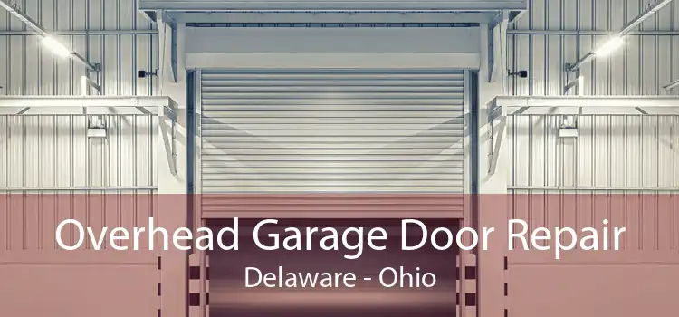 Overhead Garage Door Repair Delaware - Ohio