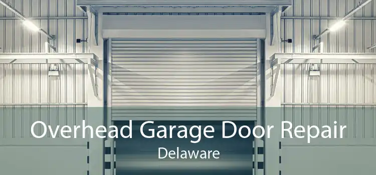 Overhead Garage Door Repair Delaware