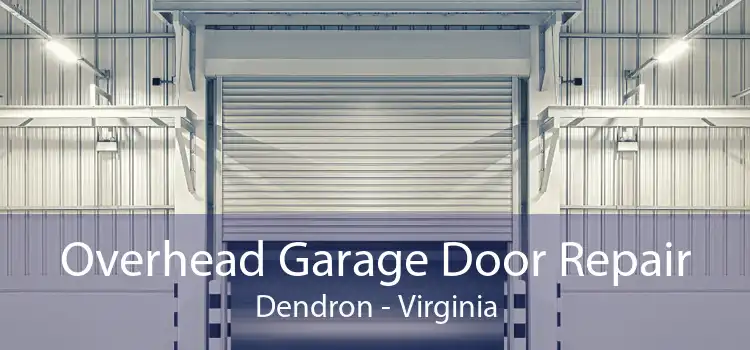 Overhead Garage Door Repair Dendron - Virginia