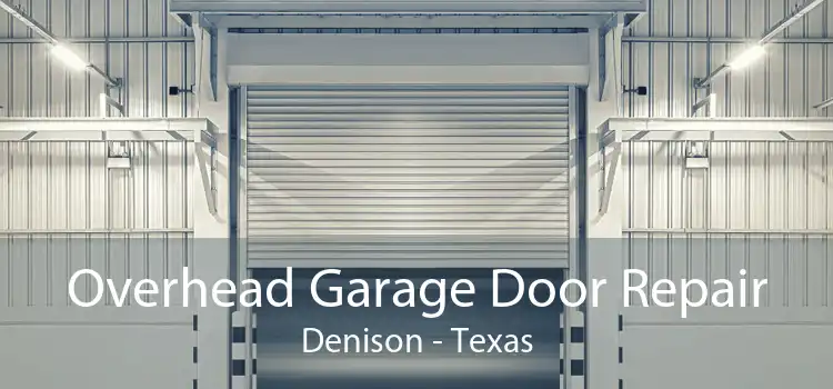 Overhead Garage Door Repair Denison - Texas