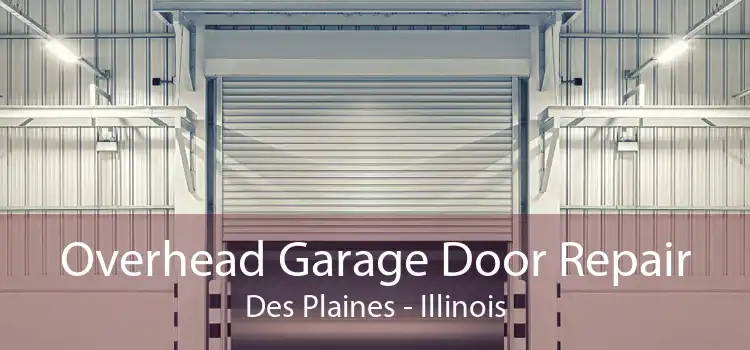 Overhead Garage Door Repair Des Plaines - Illinois