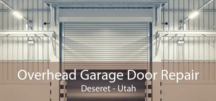 Overhead Garage Door Repair Deseret - Utah
