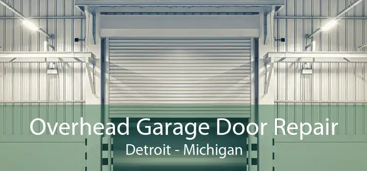 Overhead Garage Door Repair Detroit - Michigan