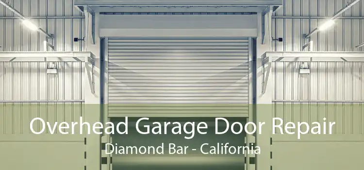 Overhead Garage Door Repair Diamond Bar - California