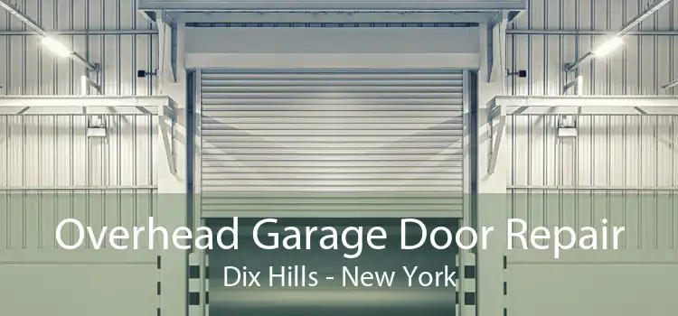 Overhead Garage Door Repair Dix Hills - New York